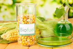 Stoke Abbott biofuel availability
