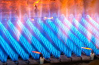 Stoke Abbott gas fired boilers